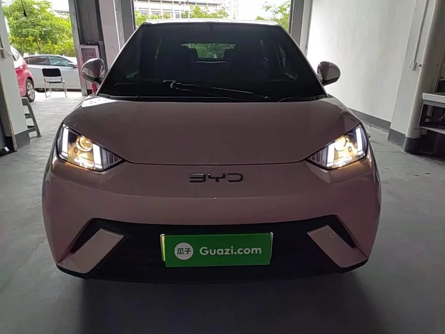 BYD Seagull