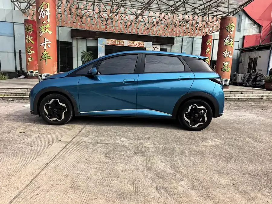 BYD Dolphin