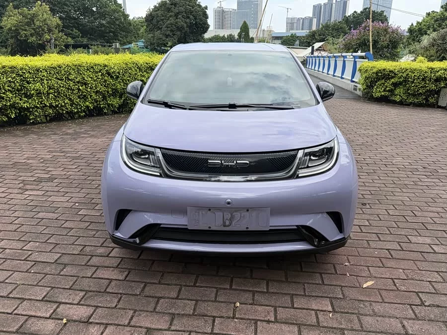 BYD Dolphin