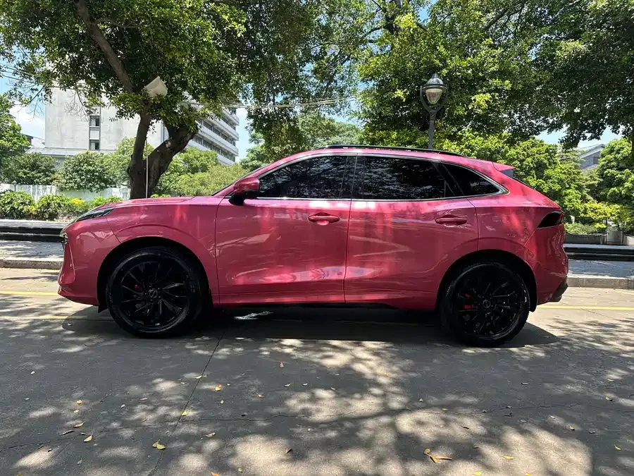 Dongfeng Fengxing T5 EVO