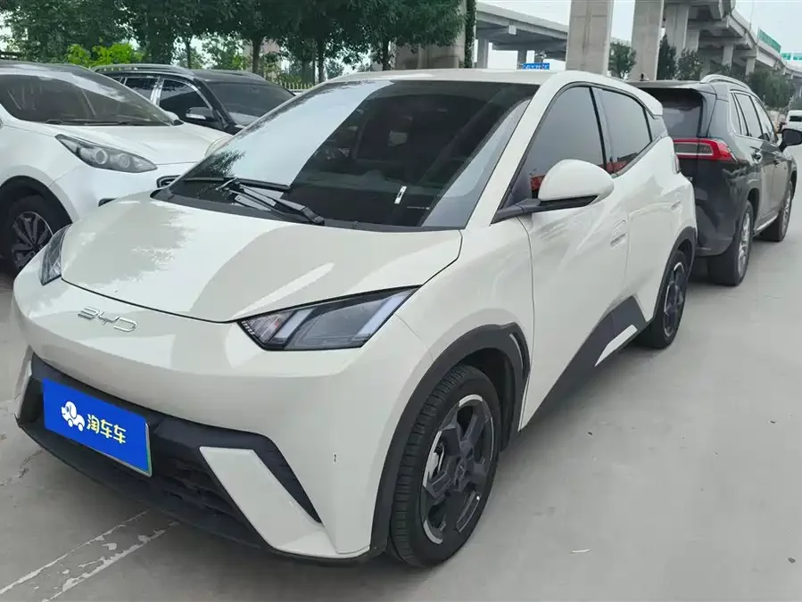 BYD Seagull