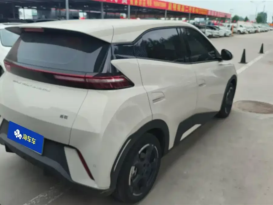 BYD Seagull