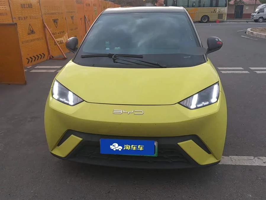 BYD Seagull