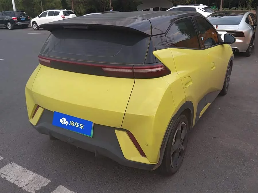 BYD Seagull