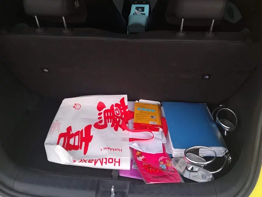 BYD Seagull