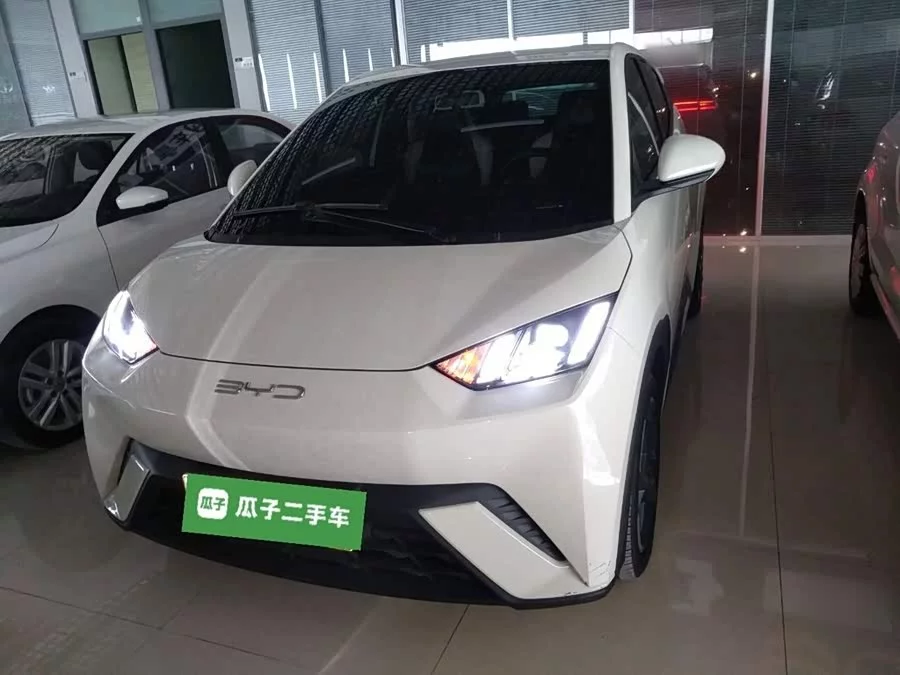 BYD Seagull