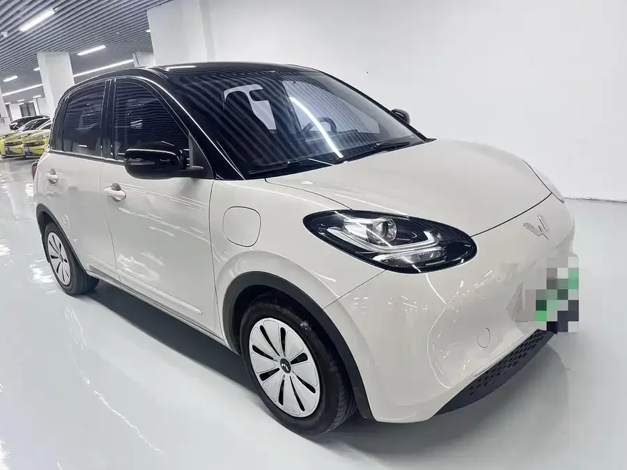 Wuling Bingo