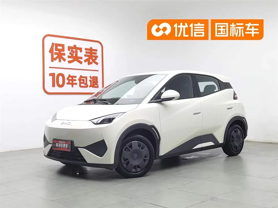 BYD Seagull
