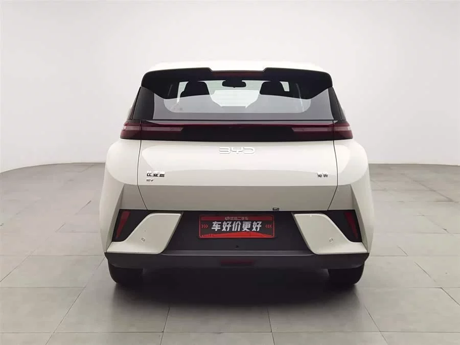 BYD Seagull