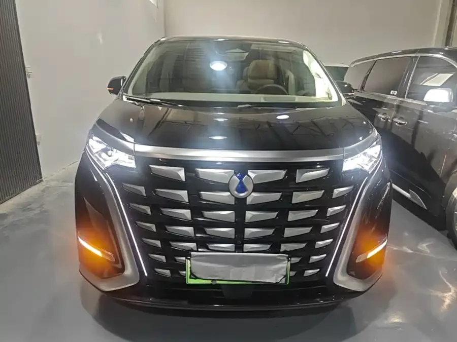 BYD D9