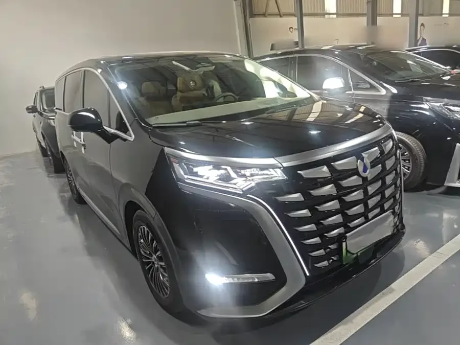 BYD D9