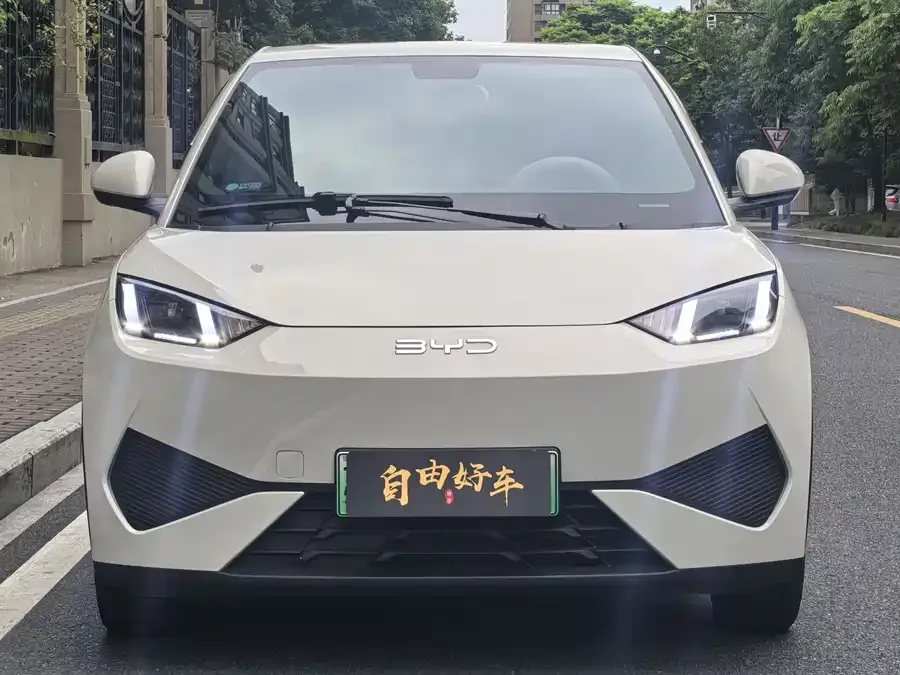 BYD Seagull