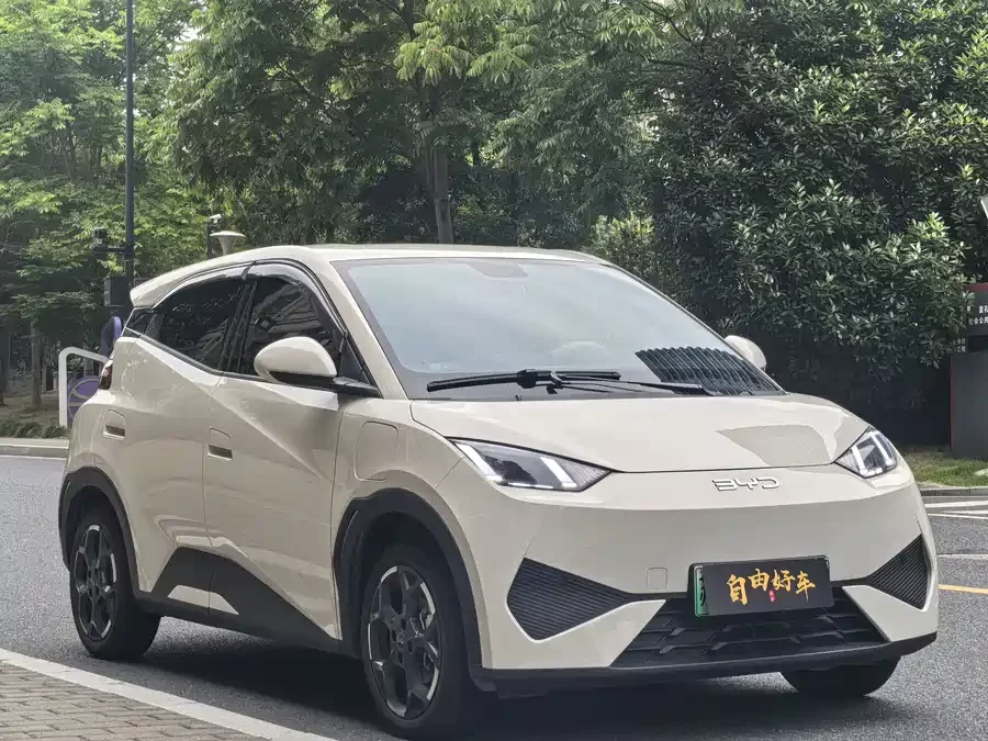 BYD Seagull