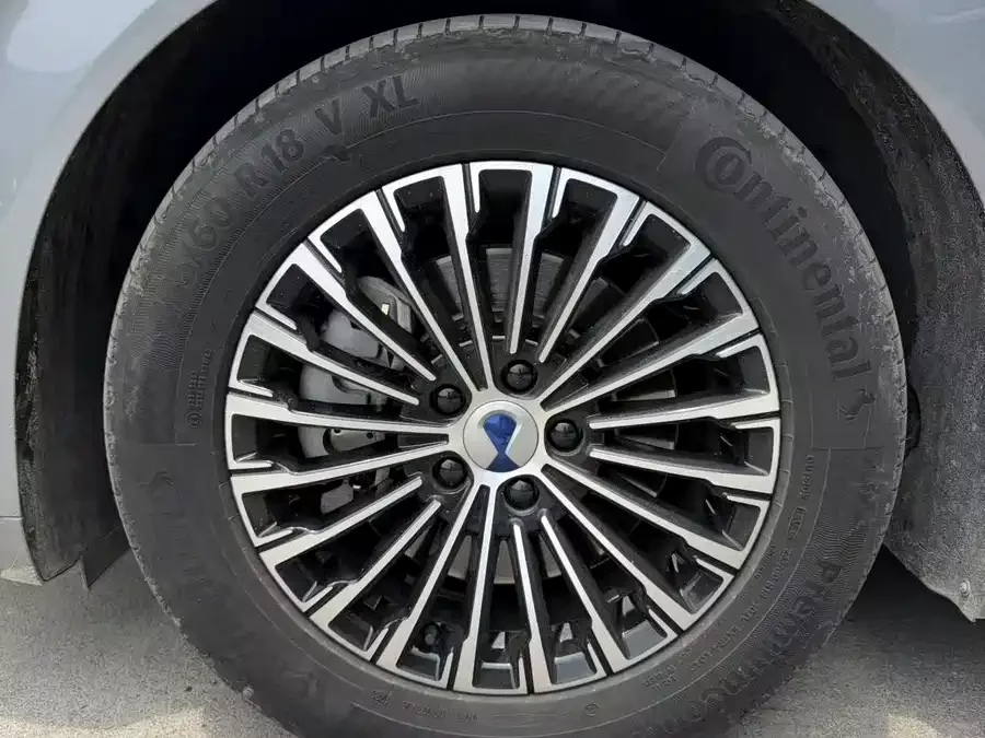 BYD D9