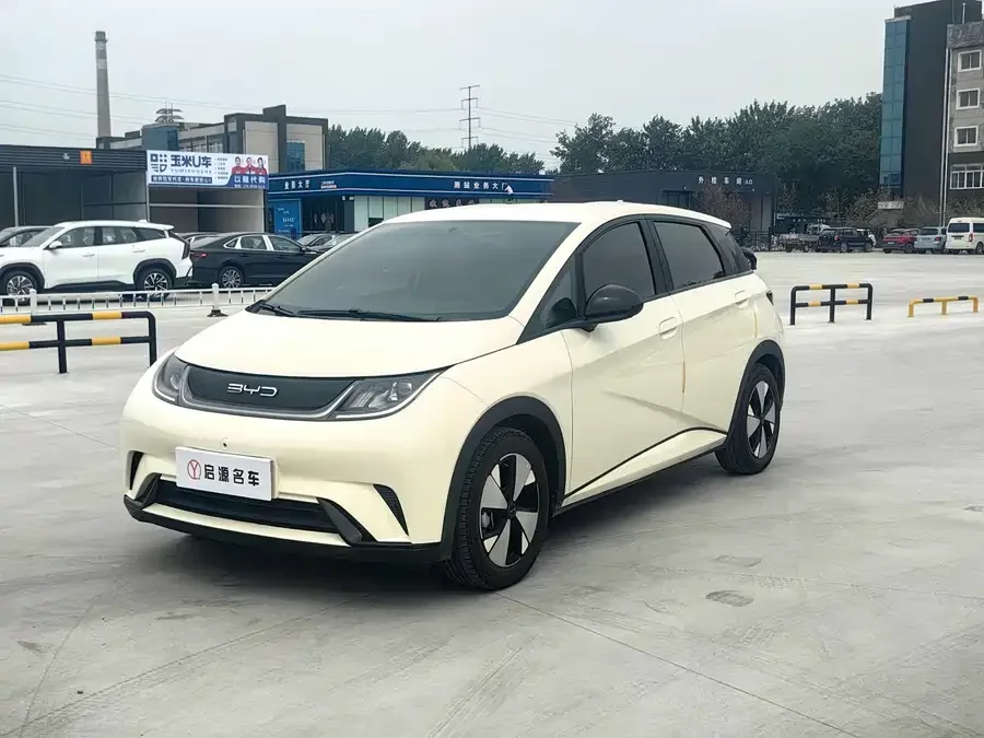 BYD Dolphin