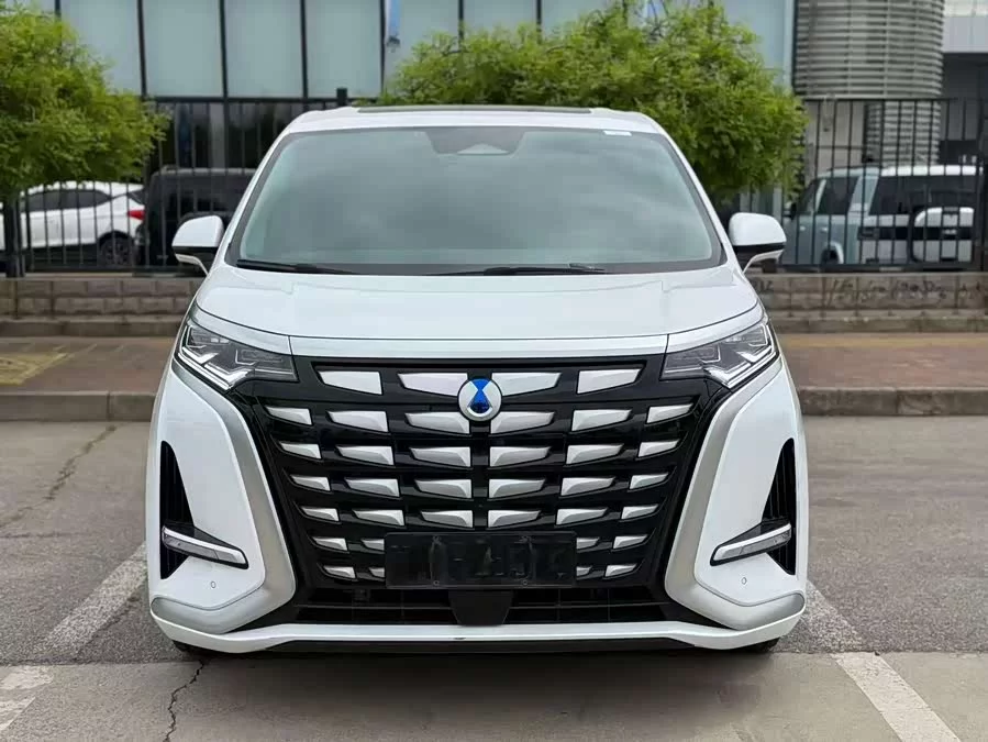 BYD D9