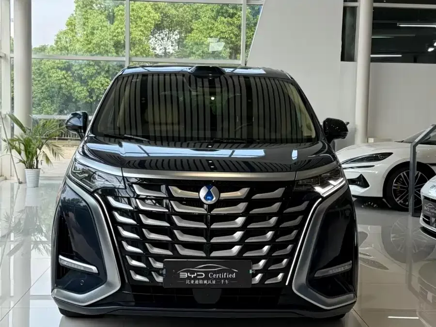 BYD D9