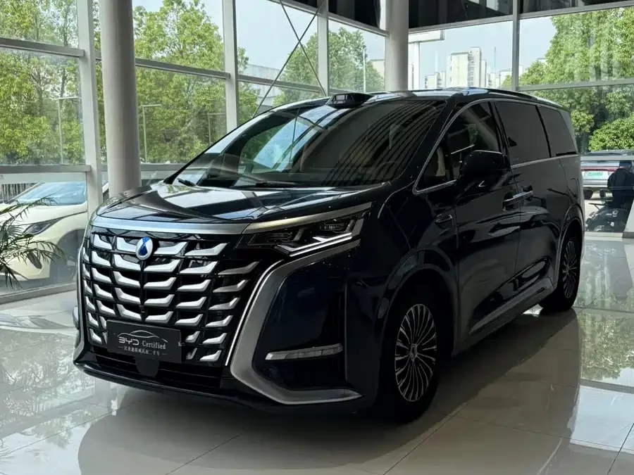 BYD D9