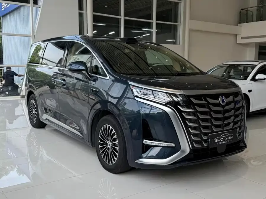 BYD D9