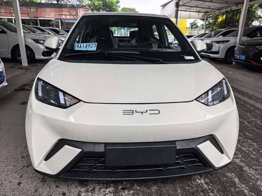BYD Seagull