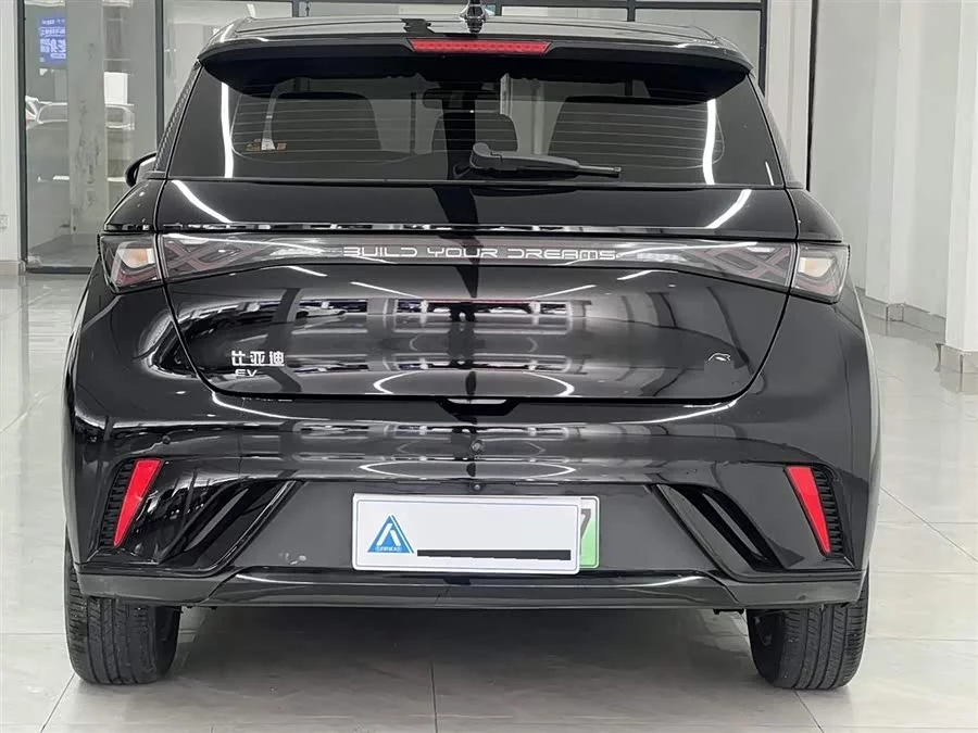 BYD Dolphin