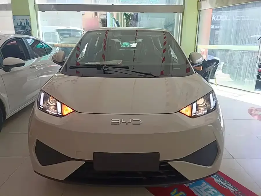 BYD Seagull