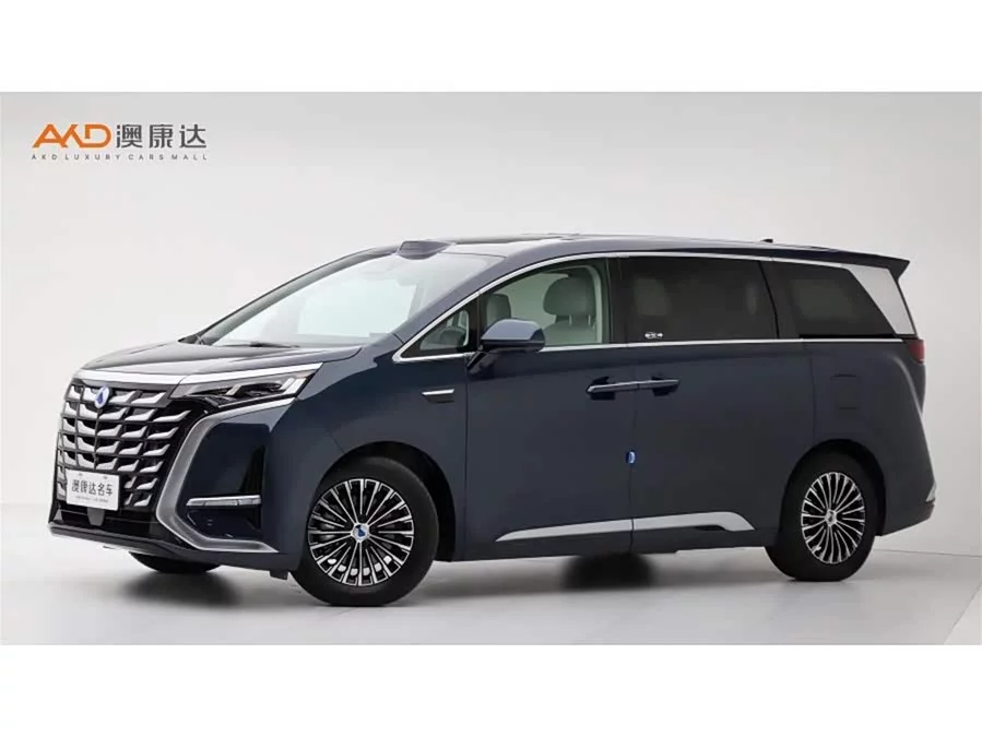 BYD D9