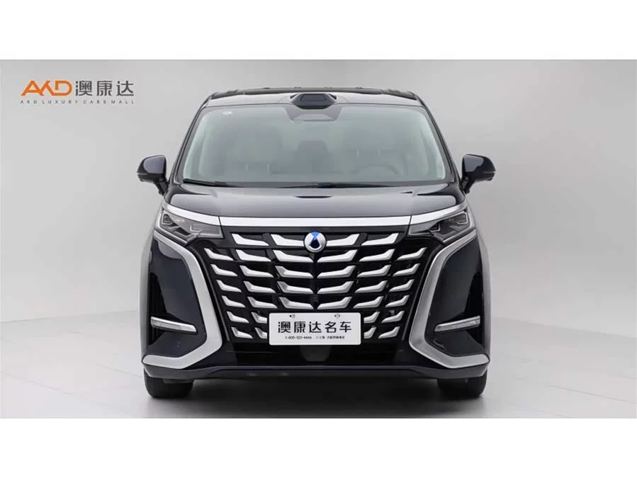 BYD D9