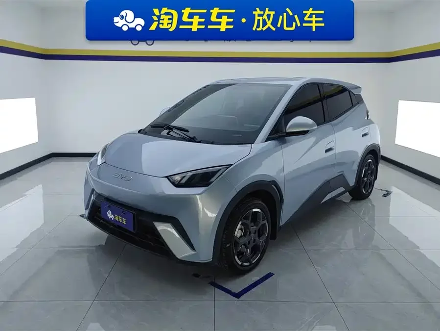BYD Seagull