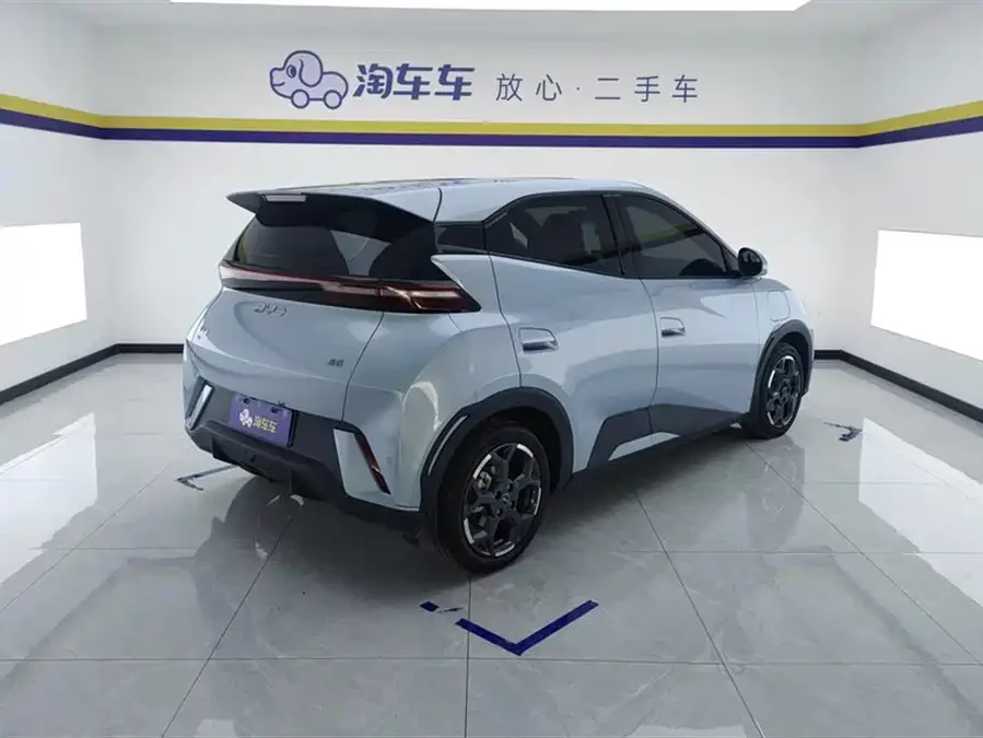 BYD Seagull