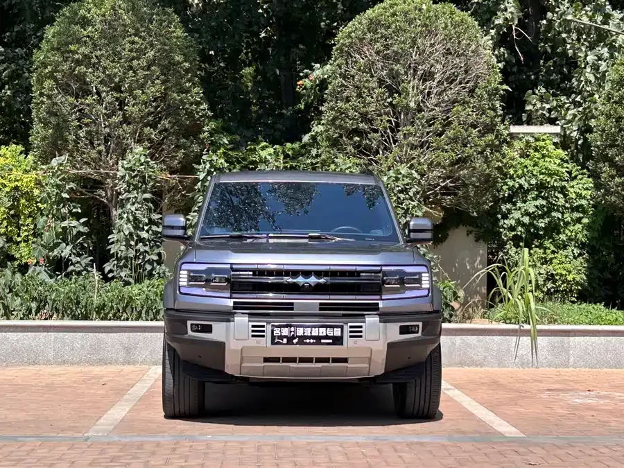 BYD Leopard Leopard 5