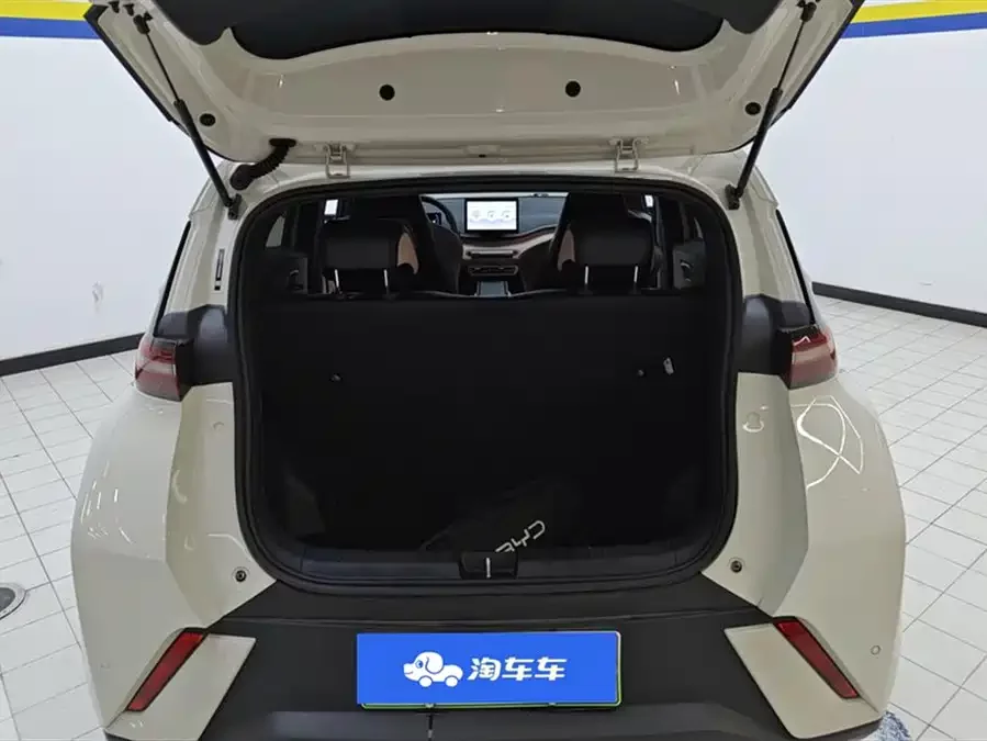 BYD Seagull