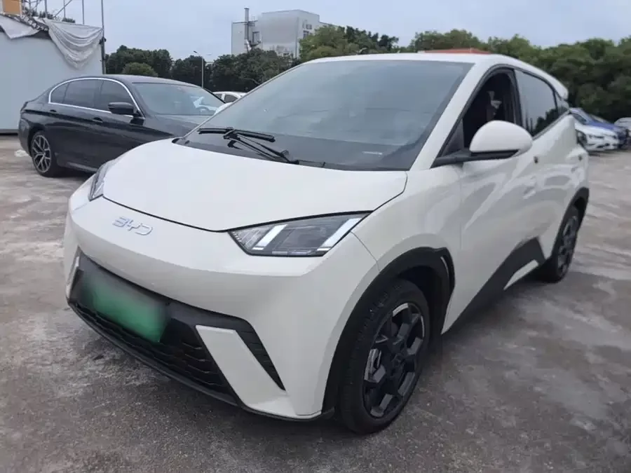 BYD Seagull