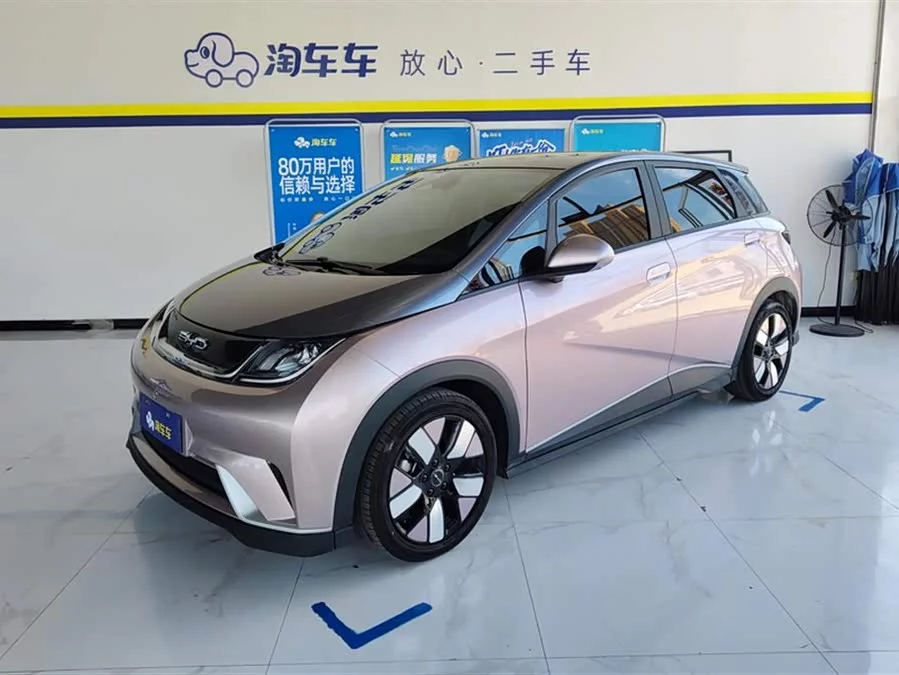 BYD Dolphin