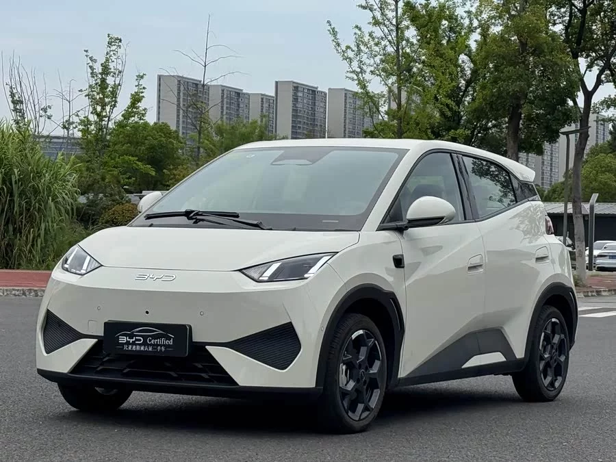 BYD Seagull