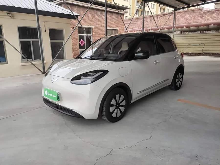 Wuling Bingo
