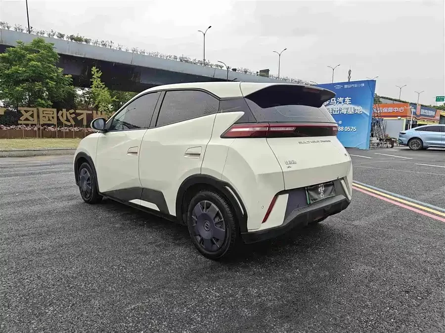 BYD Seagull