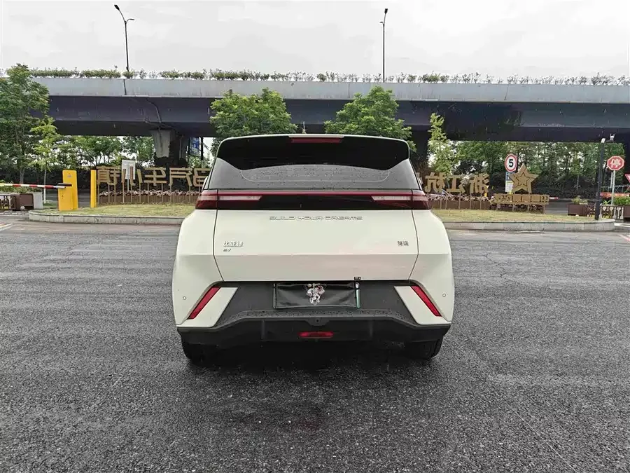 BYD Seagull
