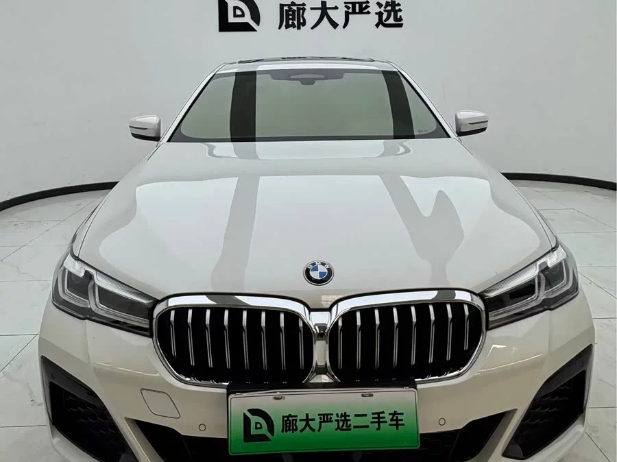BMW 5 Series New Energy