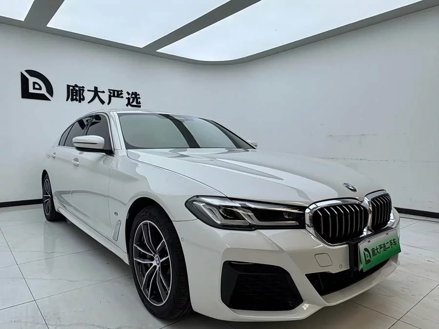 BMW 5 Series New Energy