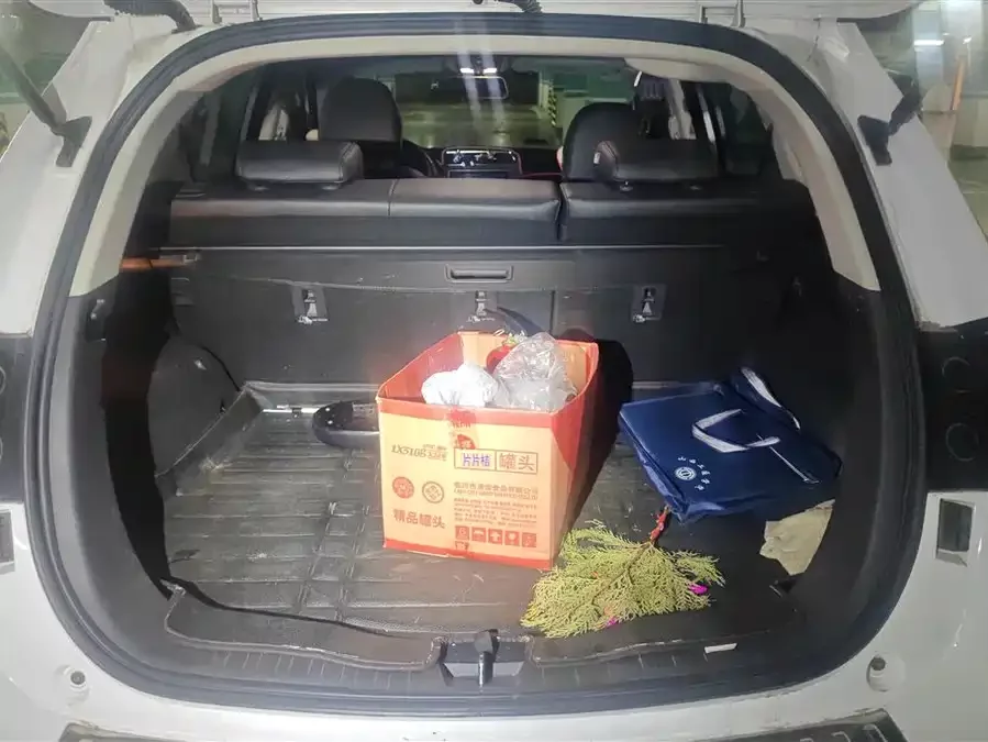Haval H2