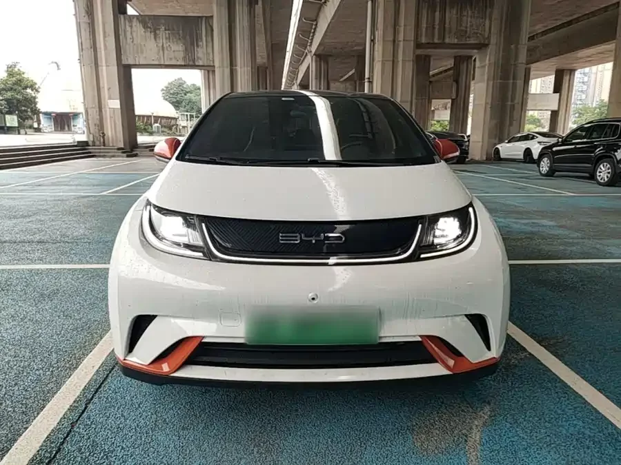 BYD Dolphin