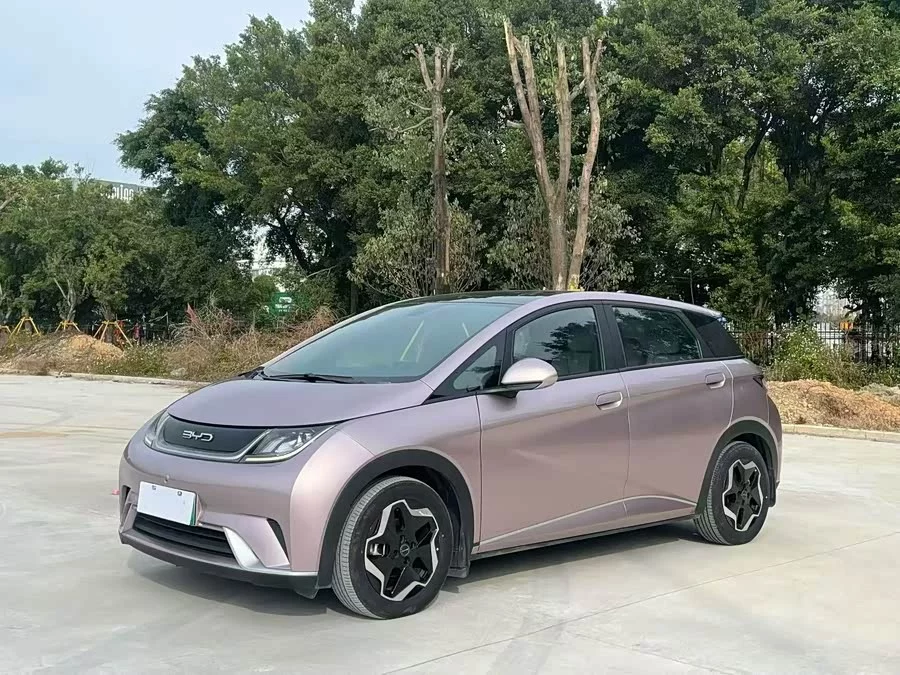 BYD Dolphin
