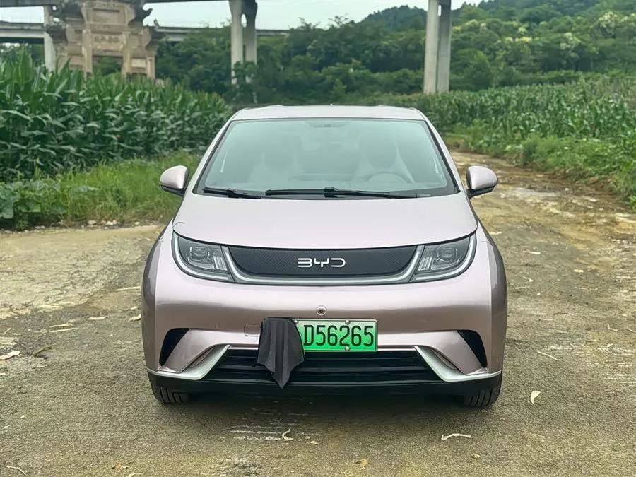 BYD Dolphin