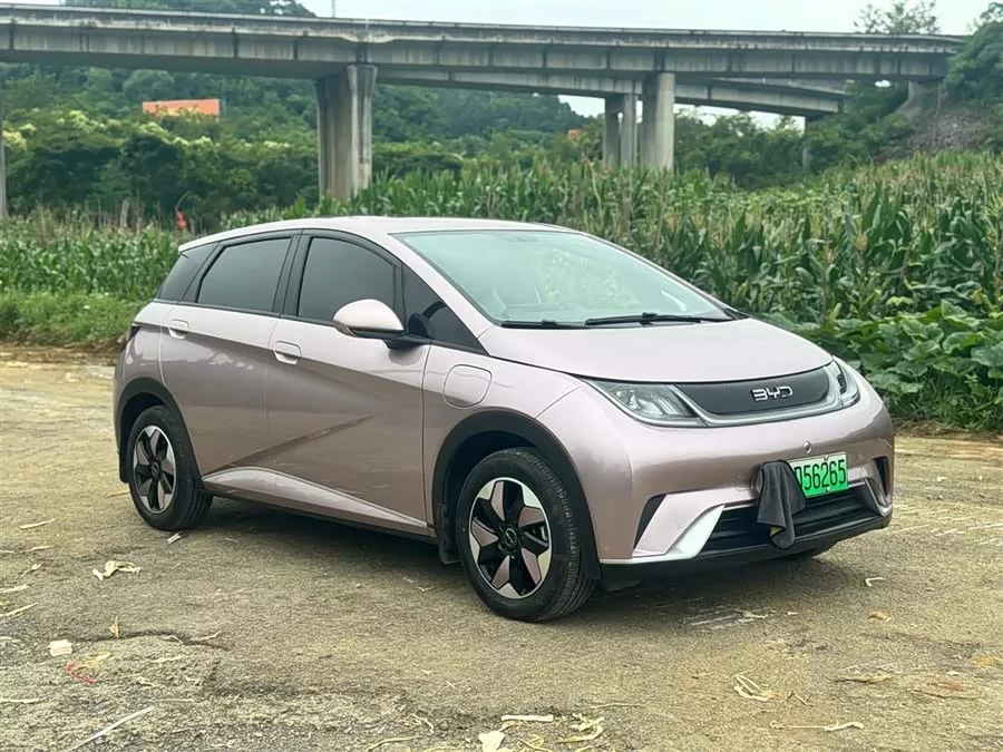 BYD Dolphin