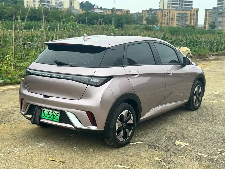 BYD Dolphin