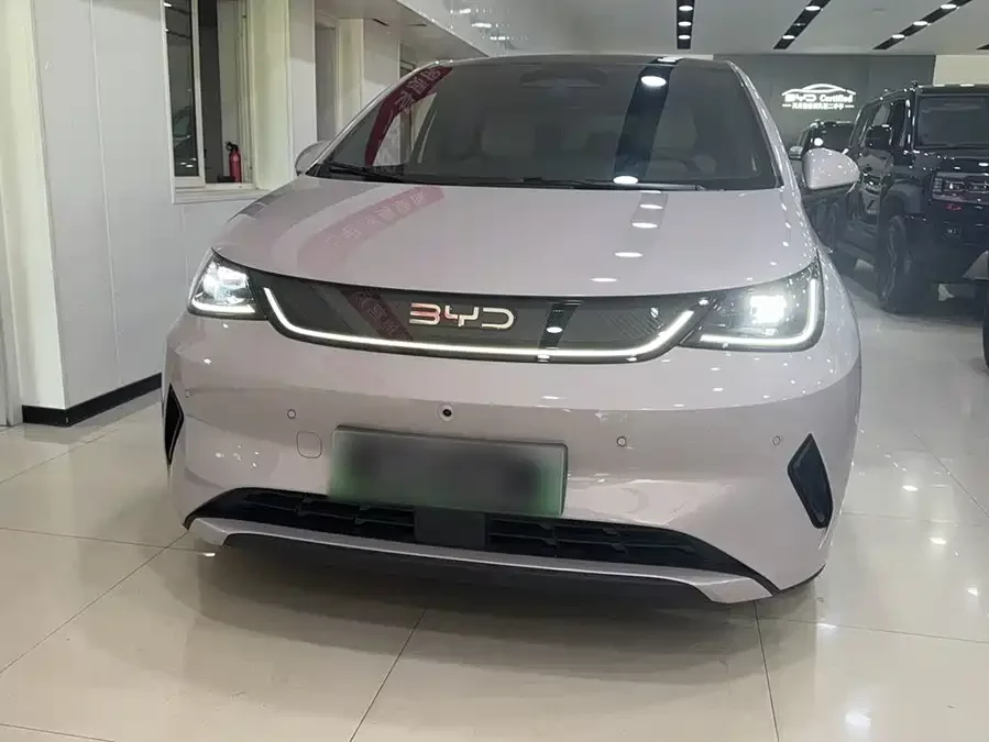 BYD Dolphin