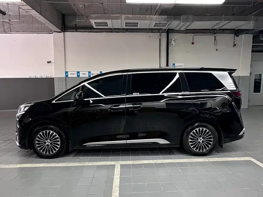 BYD D9