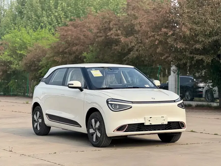 Dongfeng nano 01