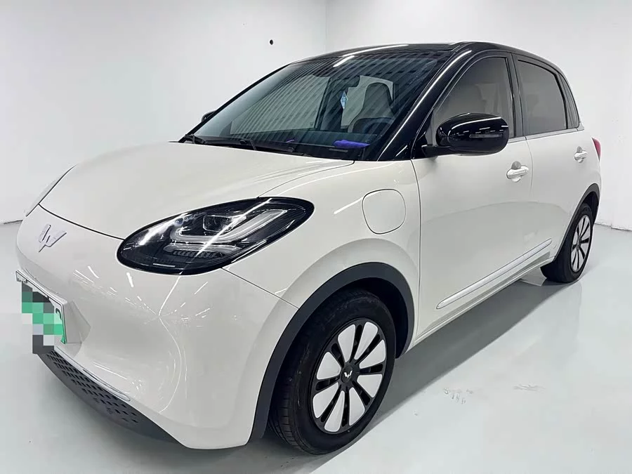 Wuling Bingo